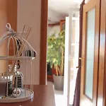 Apartment Nada *